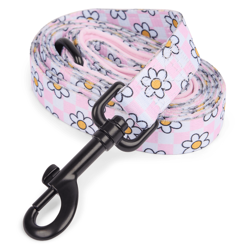 cocopup-london-dog-lead-daisy-gingham