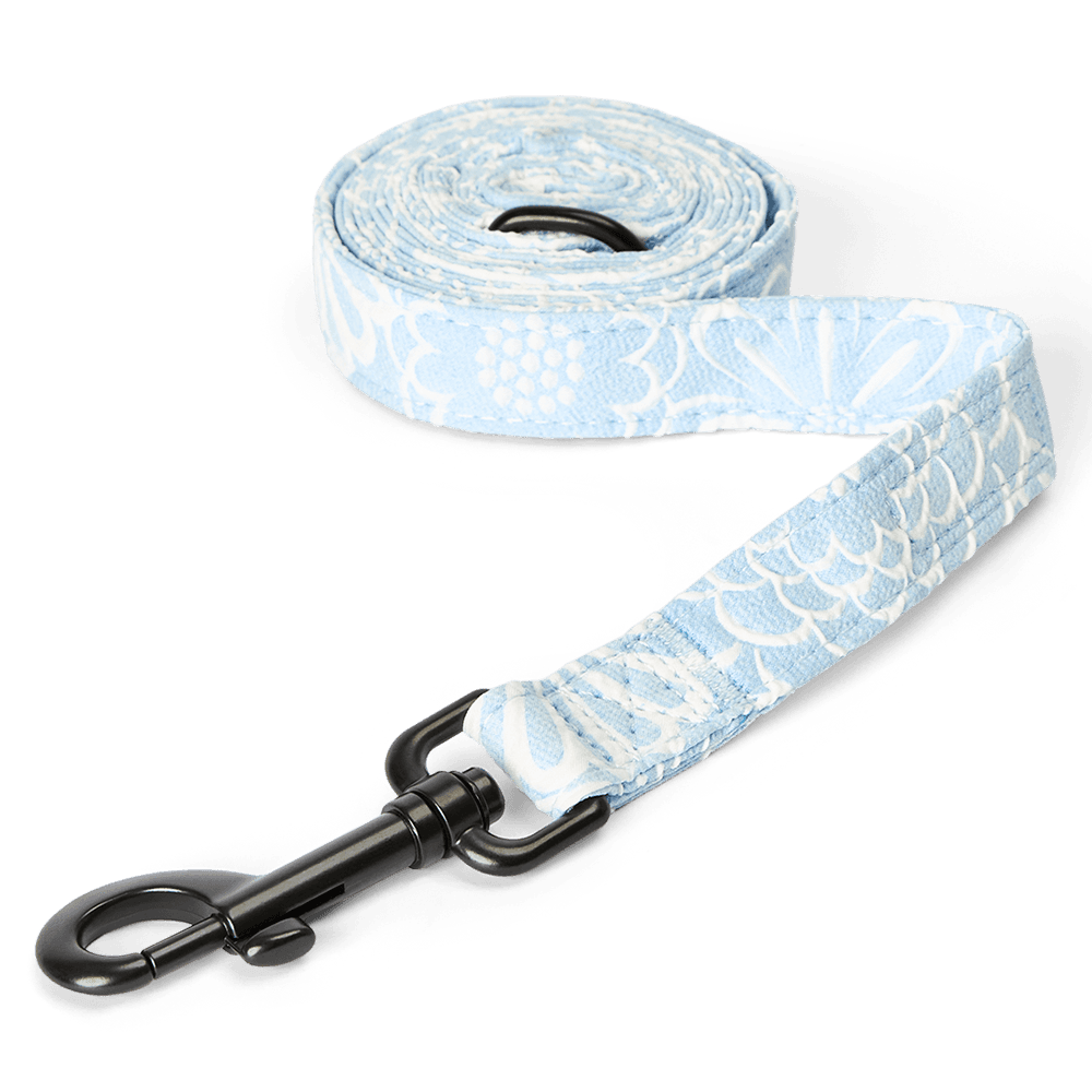 cocopup-london-dog-lead-baby-blue-flower