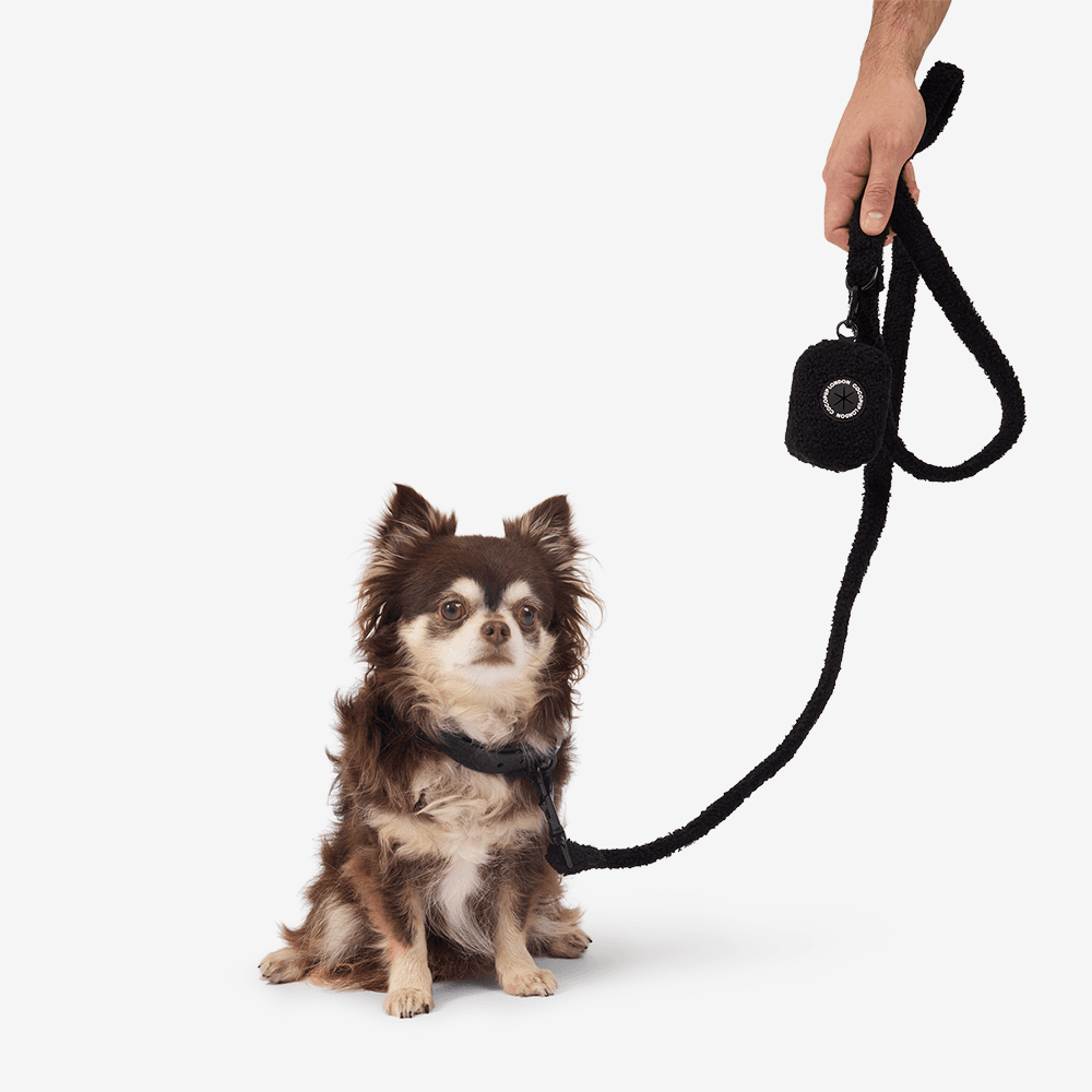 cocopup-london-dog-poop-bag-holder-teddy-baloo