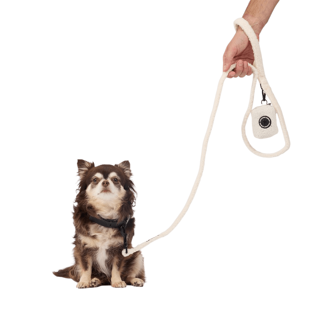 cocopup-london-dog-poop-bag-holder-teddy-dolly