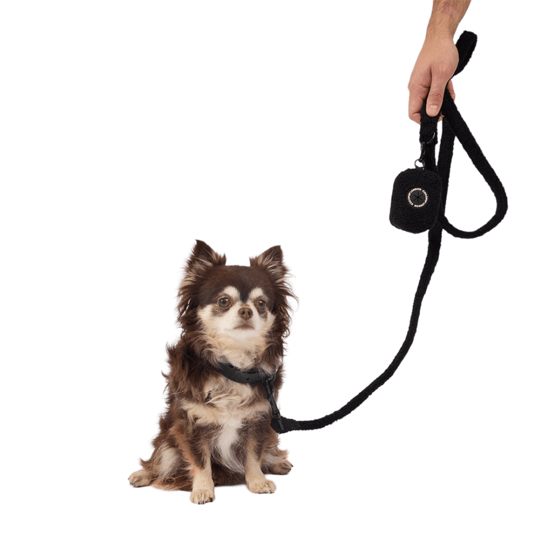 cocopup-london-dog-poop-bag-holder-teddy-baloo