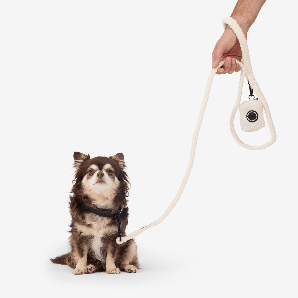 cocopup-london-dog-poop-bag-holder-teddy-dolly