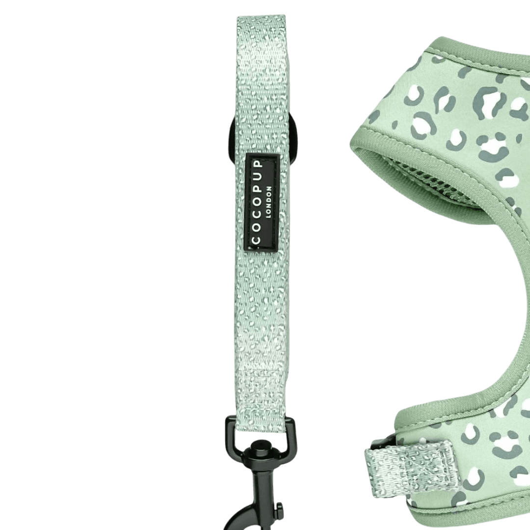 cocopup-london-puppy-lead-sage-leopard