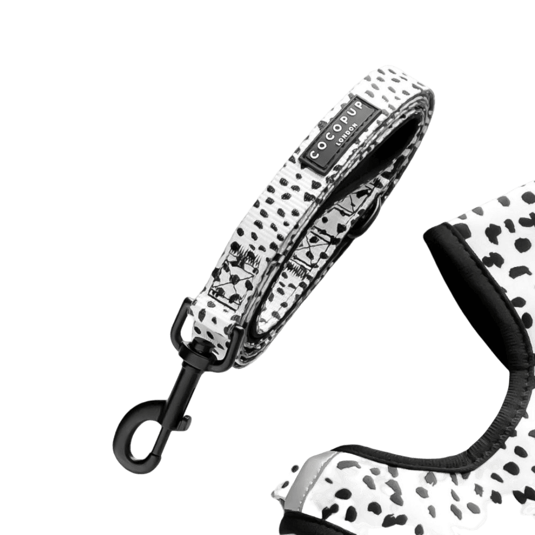 cocopup-london-puppy-lead-monochrome-spots