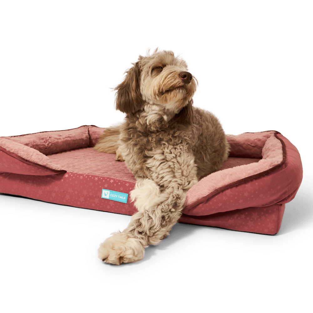 cozy-tails-bamboo-charcoal-infused-cushion-dog-bed-rose