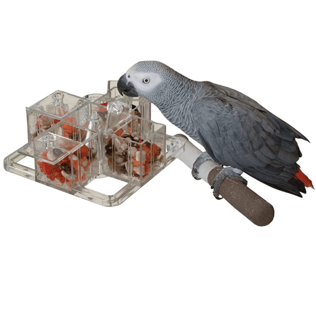 creative-foraging-4-corners-cage-mount