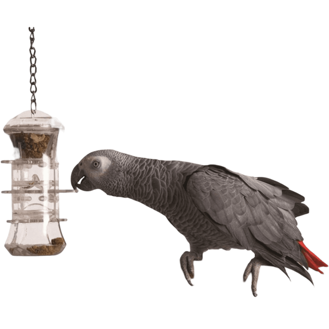 creative-foraging-push-and-pull