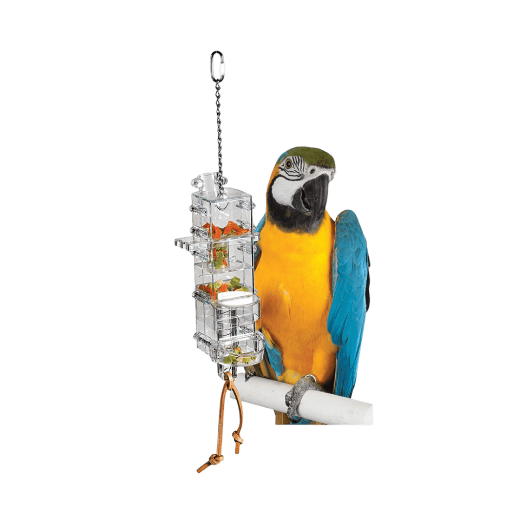 creative-foraging-tug-n-slide