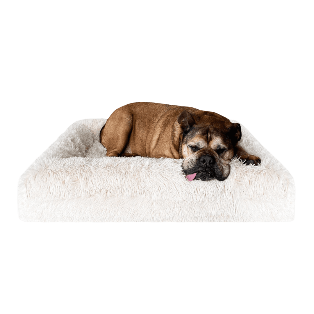 dazy-dog-cover-for-orthopeadic-dog-bed-shag-cream