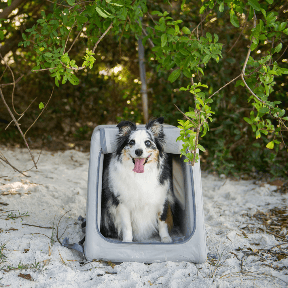 Diggs Enventur Inflatable Dog Travel Kennel