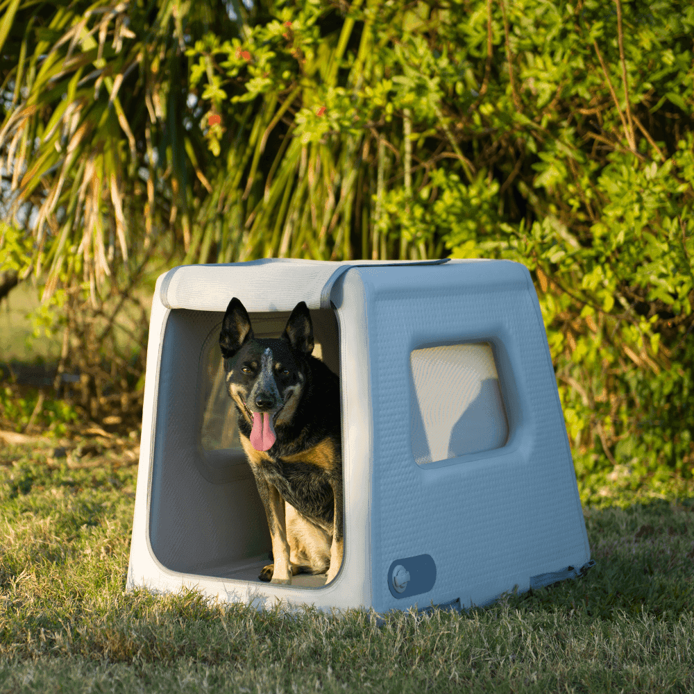 Diggs Enventur Inflatable Dog Travel Kennel