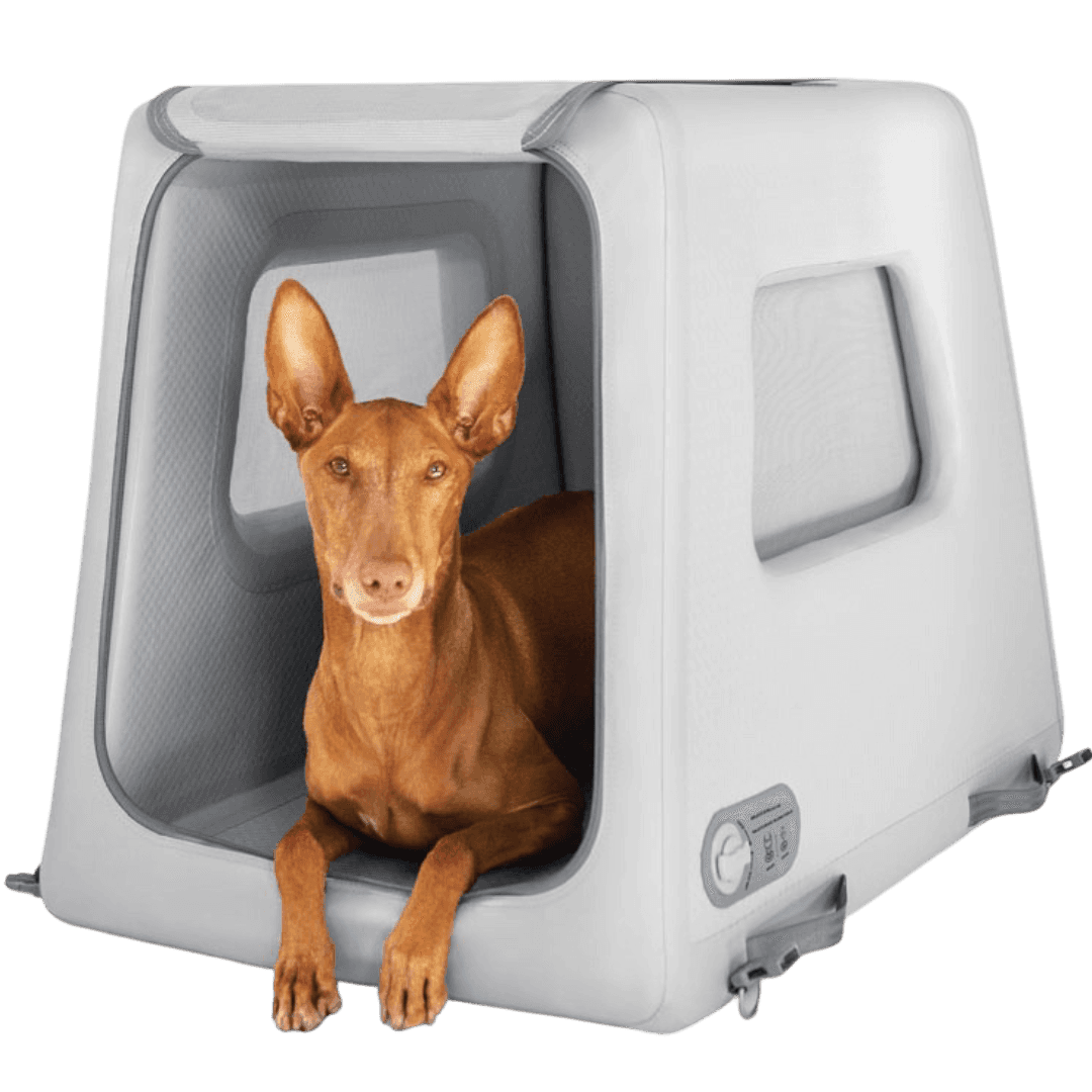 Diggs Enventur Inflatable Dog Travel Kennel