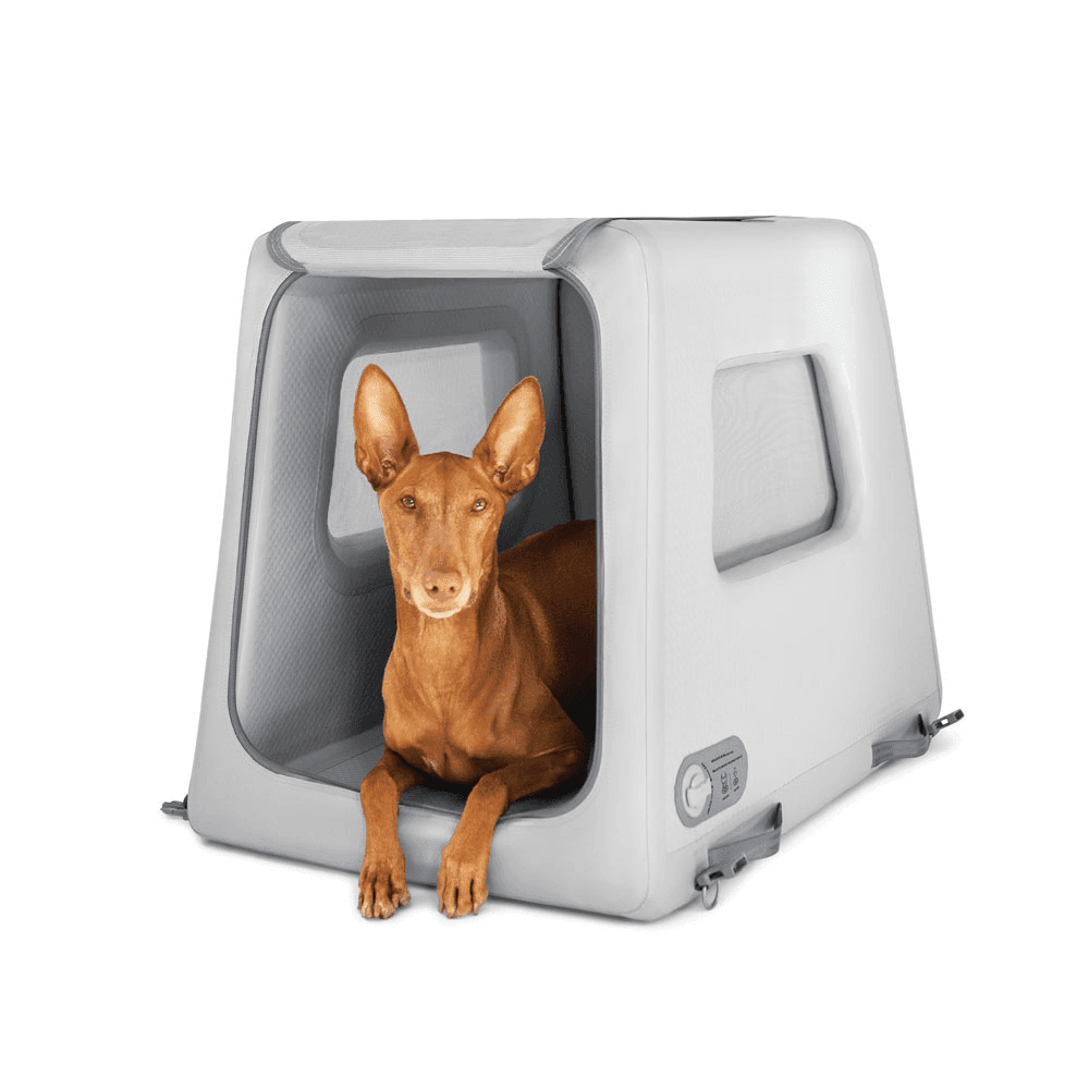 diggs-enventur-inflatable-dog-travel-kennel