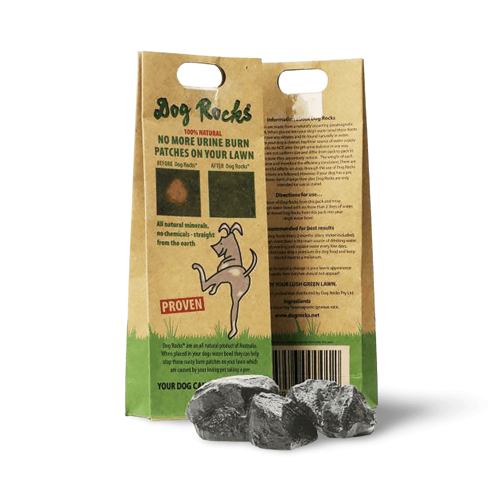 dog-rocks