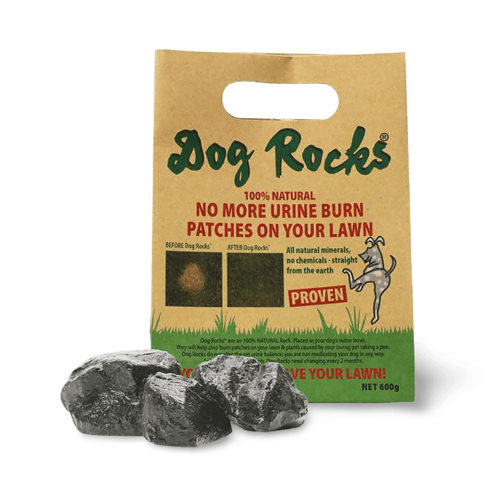 dog-rocks