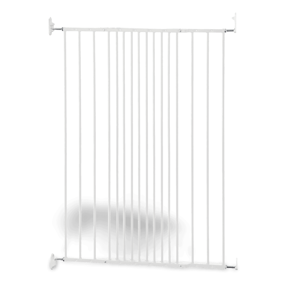 dog-space-charlie-extra-tall