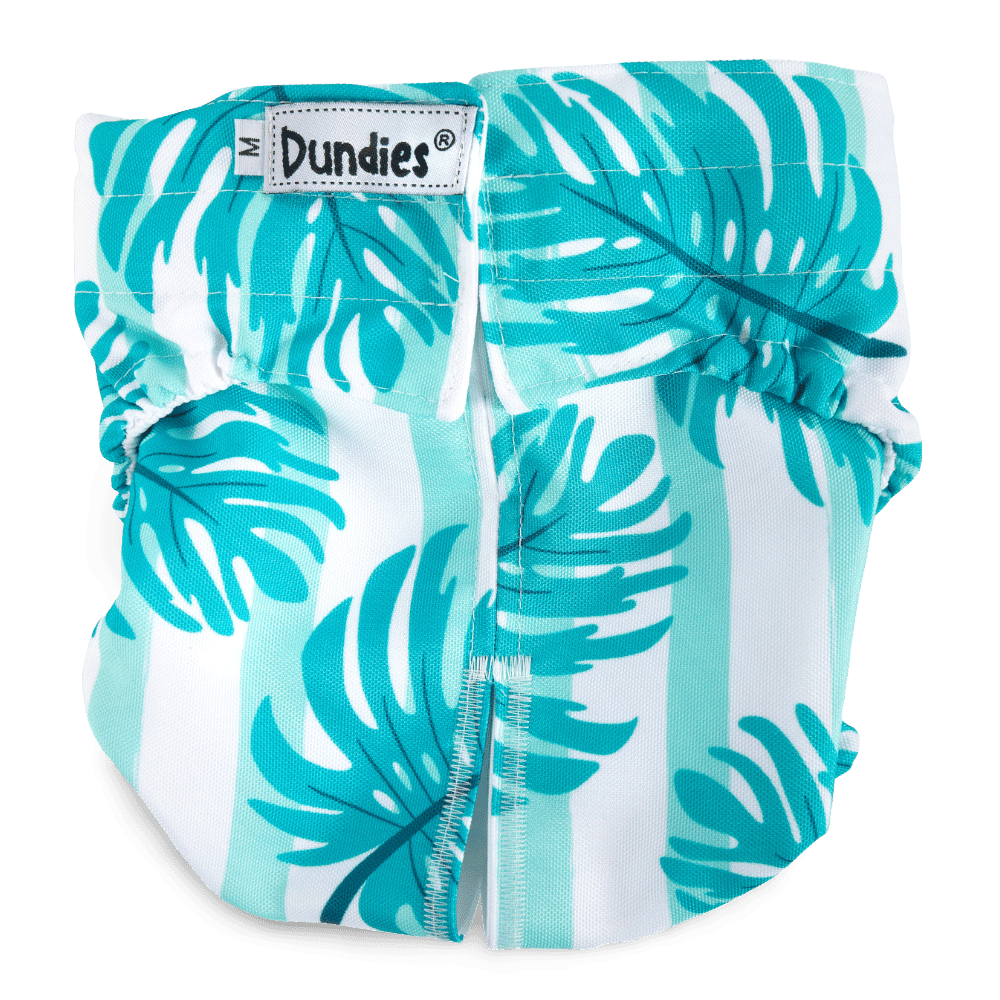 dundies-all-in-one-pet-nappy-bora-bora