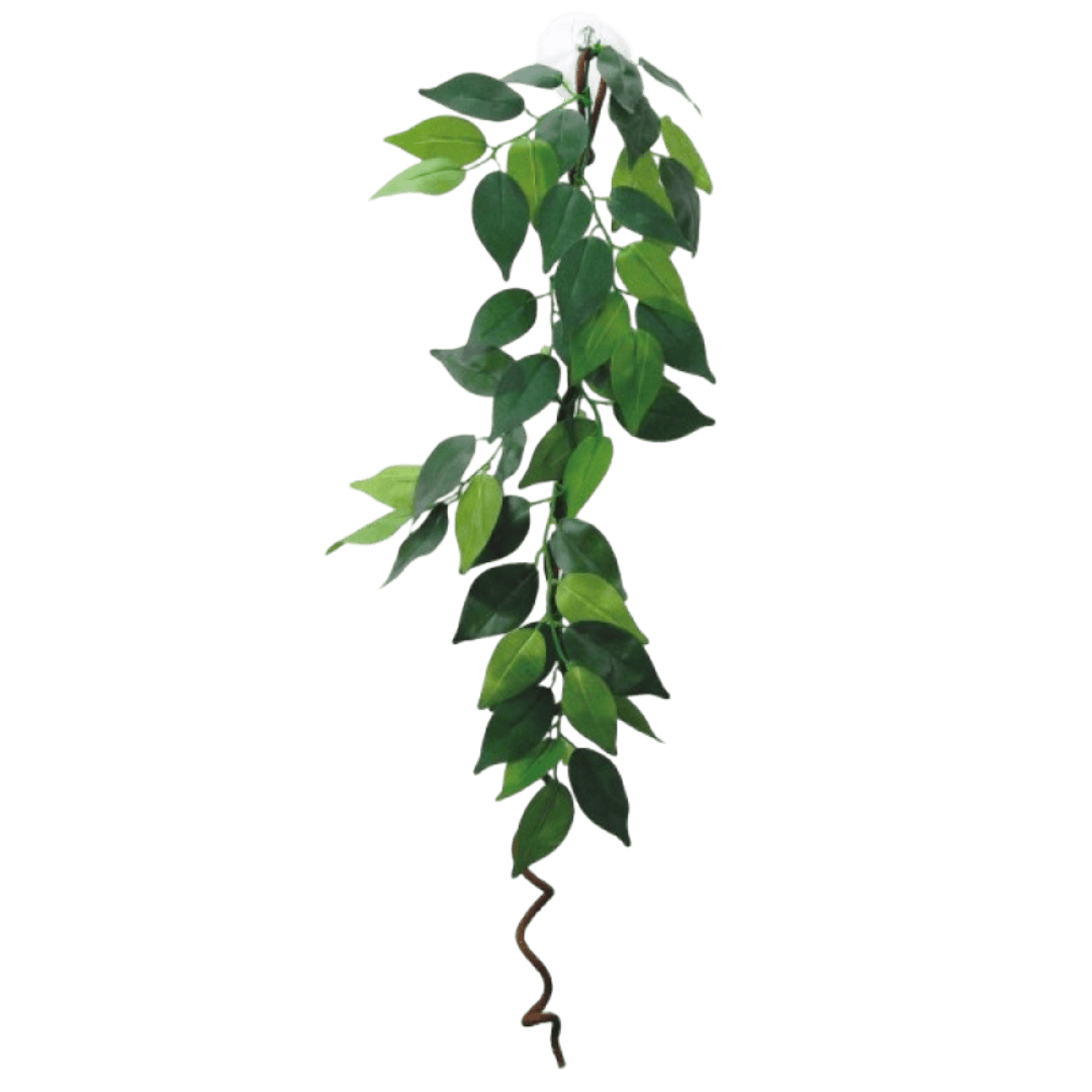 eco-tech-reptile-hanging-ficus-with-vine-plant-decor