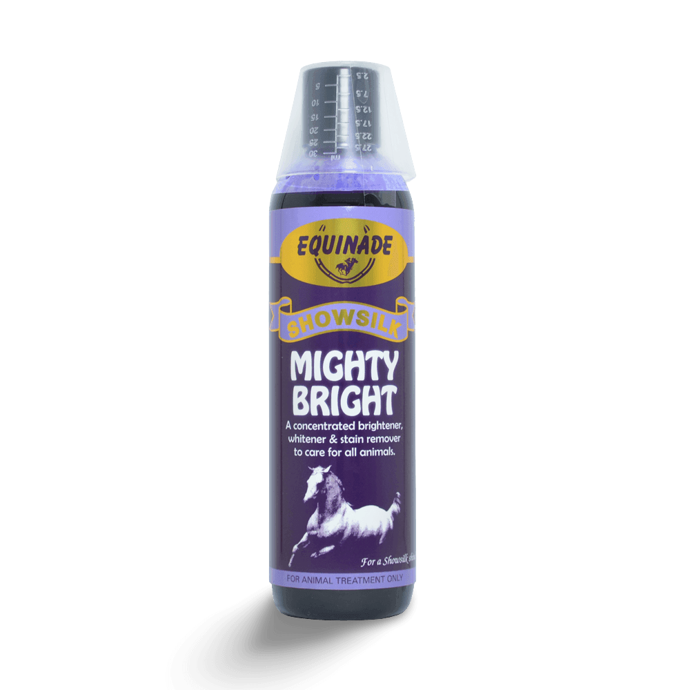 equinade-showsilk-mighty-bright