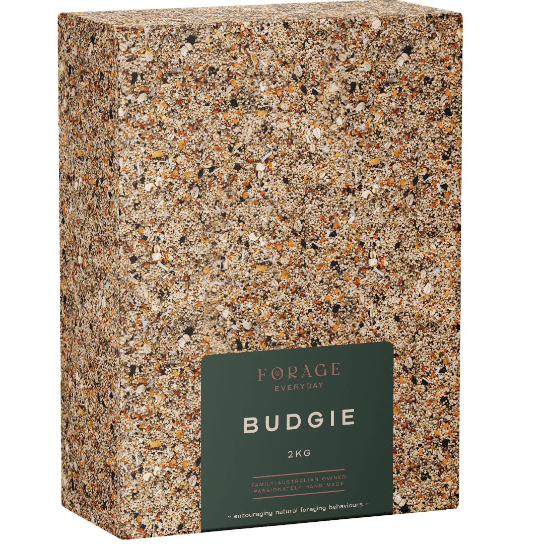 forage-everyday-for-budgie-bird-treats