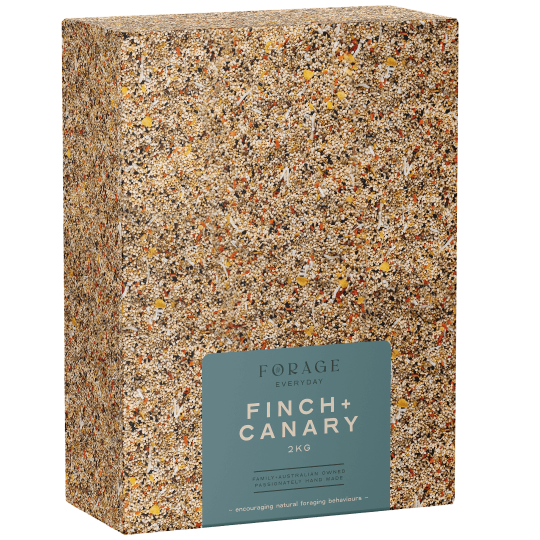 forage-everyday-for-finch-and-canary-bird-treats