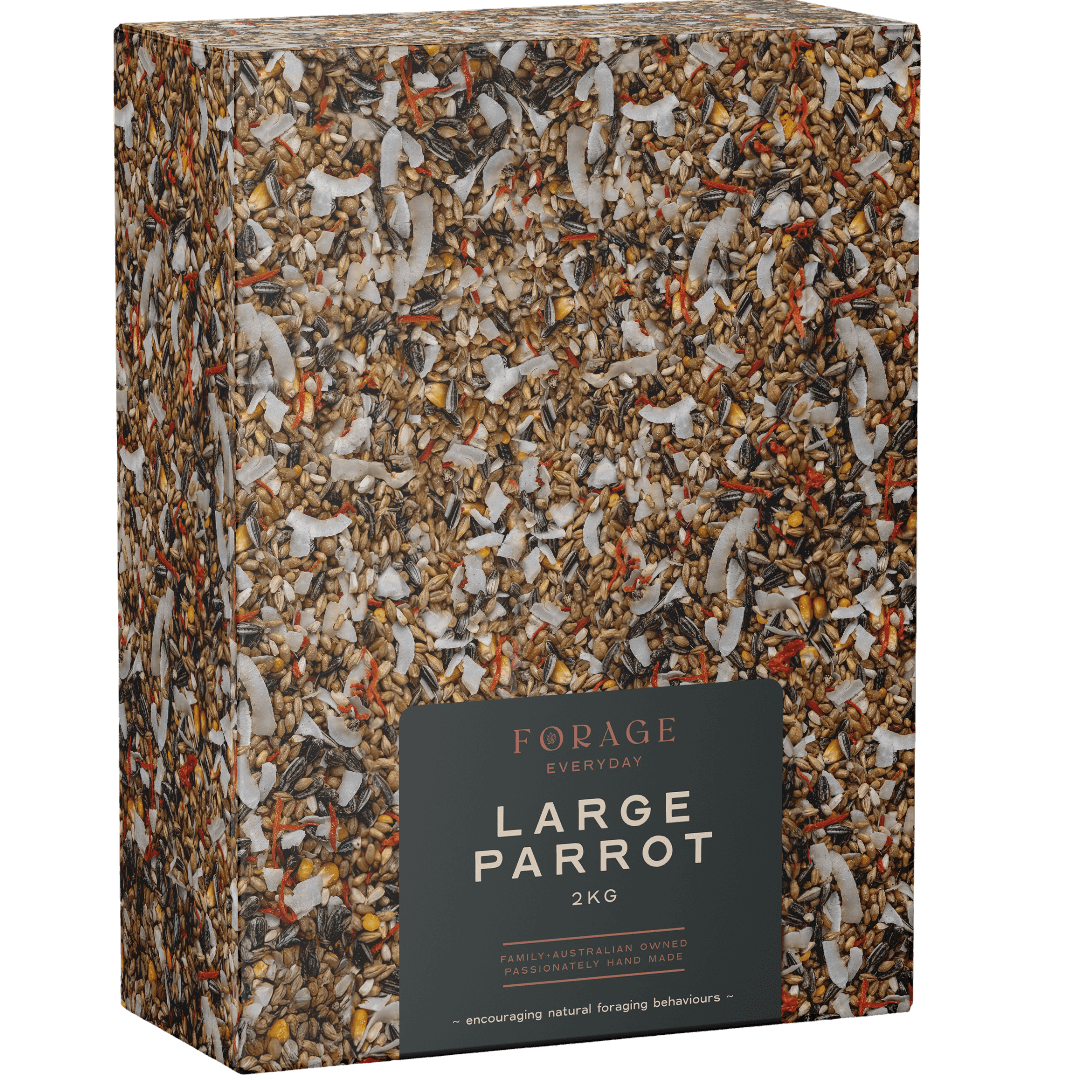 forage-everyday-for-large-parrot-bird-treats