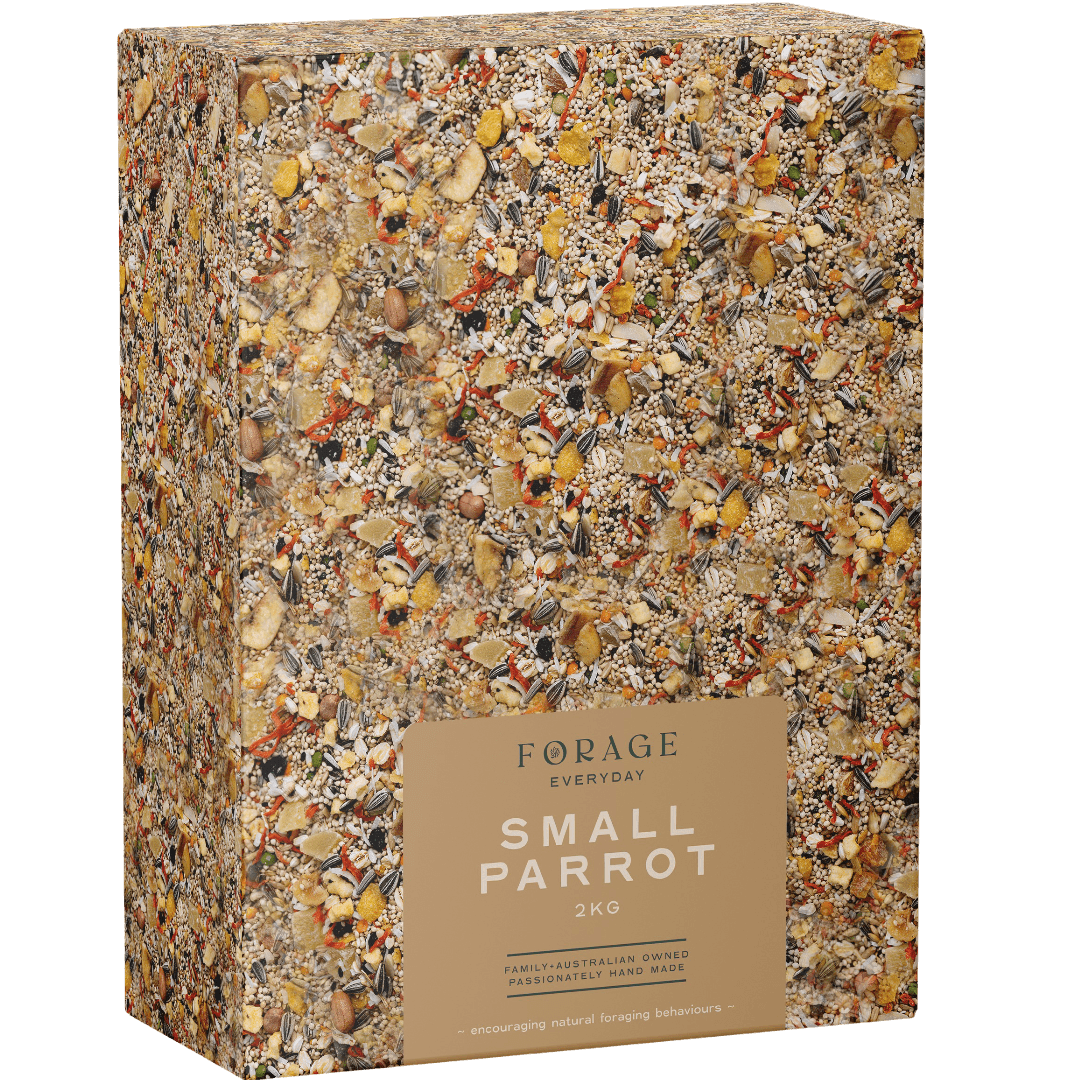 forage-everyday-for-small-parrot-bird-treats