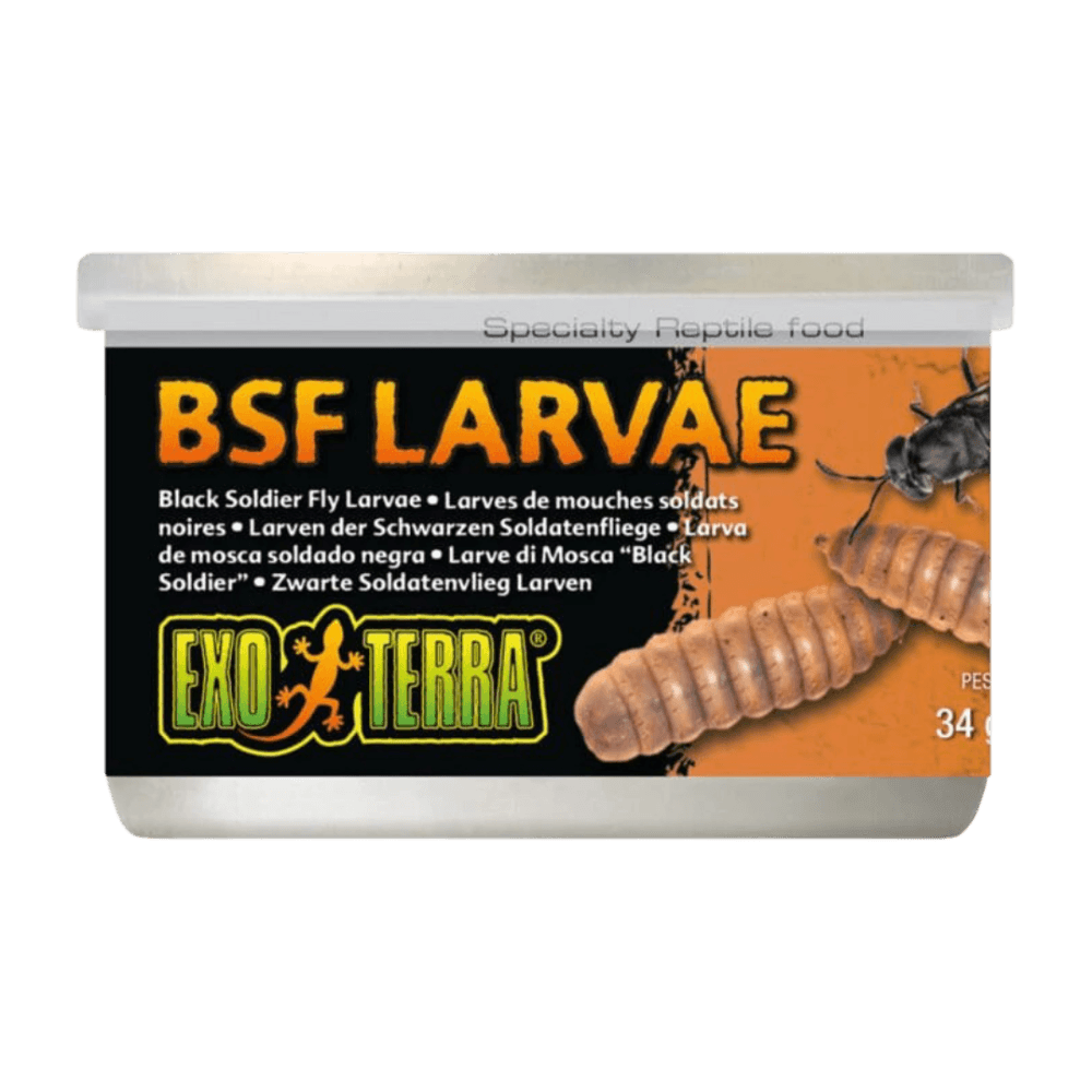 exo-terra-canned-black-soldier-fly-larvae-specialty-reptile-food