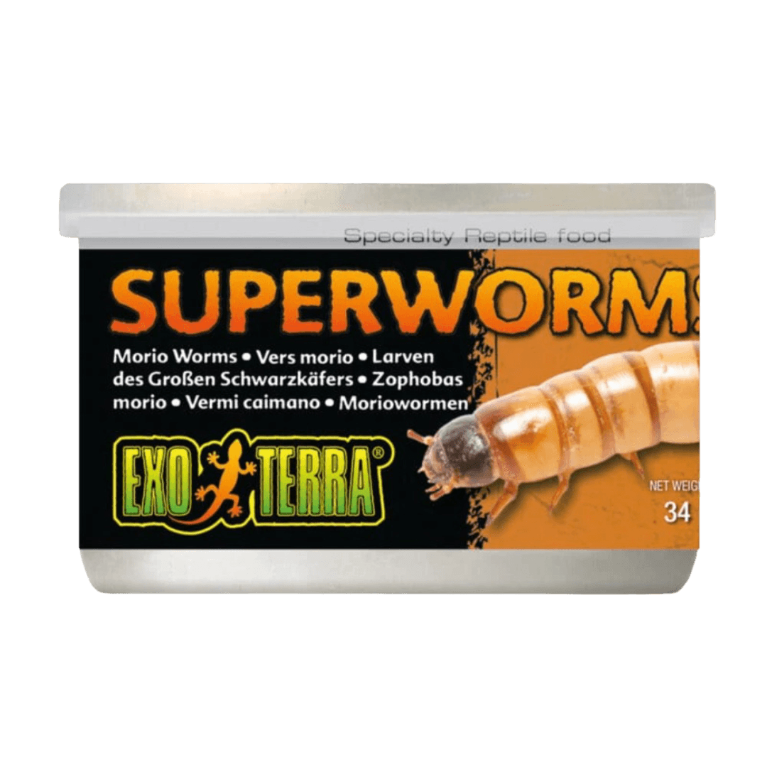 exo-terra-canned-superworms-specialty-reptile-food