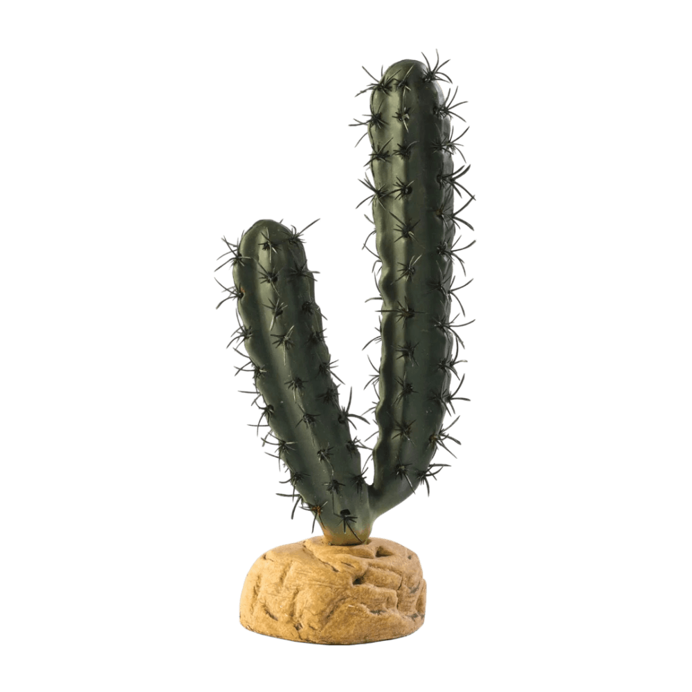 exo-terra-finger-cactus
