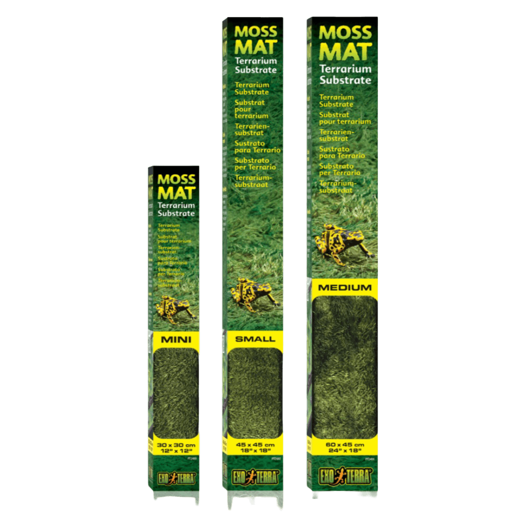 Forest Moss Mat Reptile Substrate