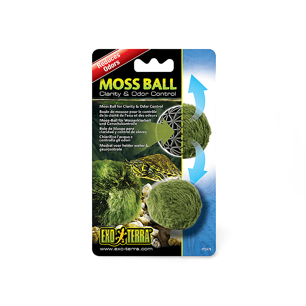 exo-terra-moss-ball
