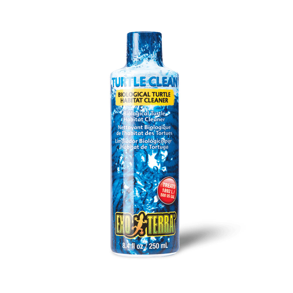 exo-terra-turtle-clean