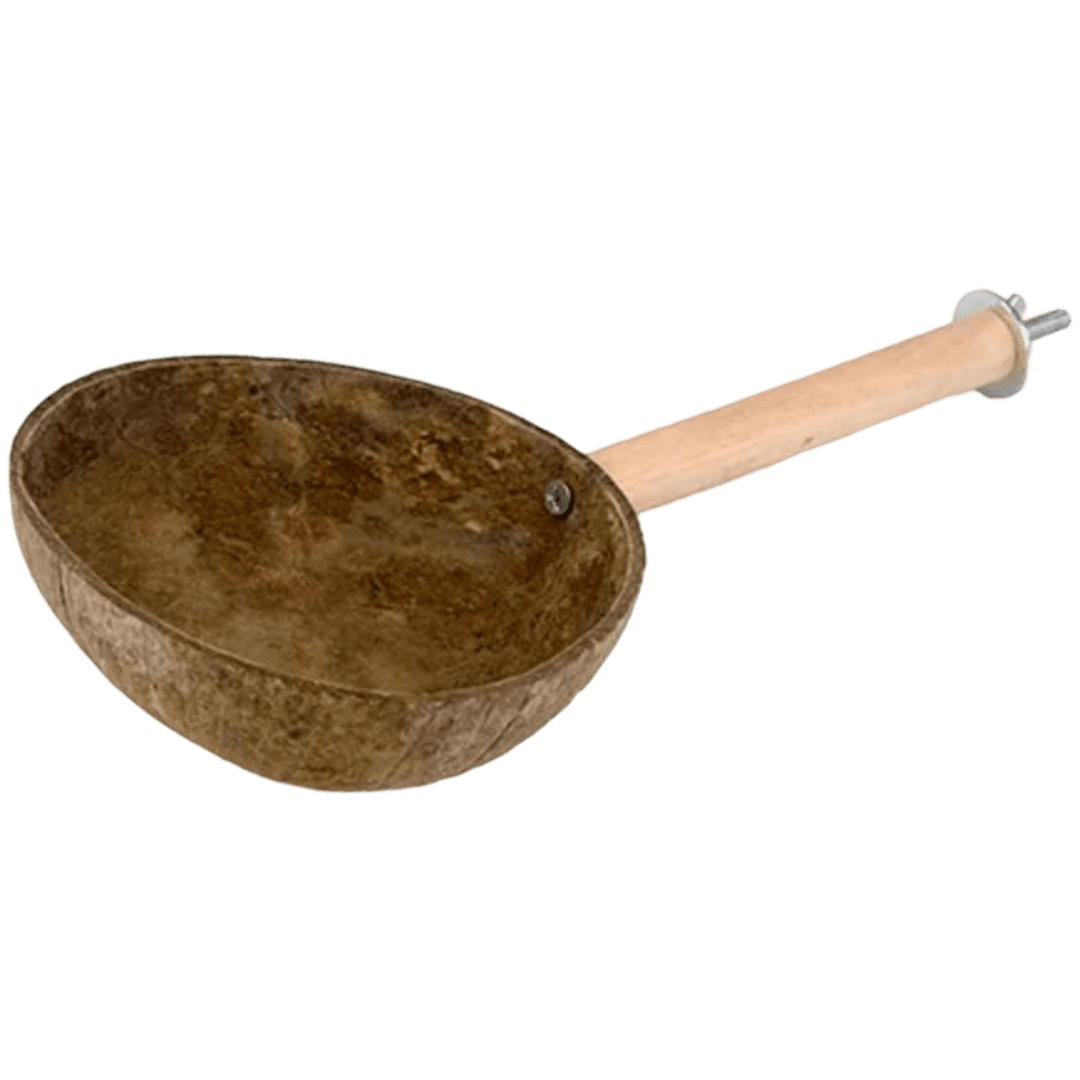 bainbridge-bird-bowl-with-stand-foraging-bird-toy