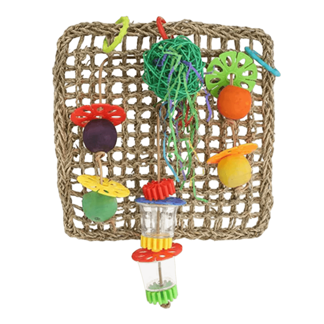 bainbridge-foraging-wall-bird-net