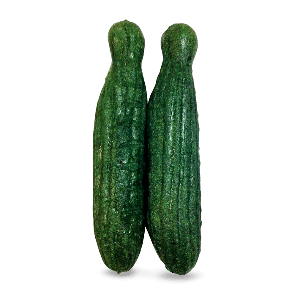 Veggie Patch Nibblers Cucumber Small Animal Seagrass Chew Treat