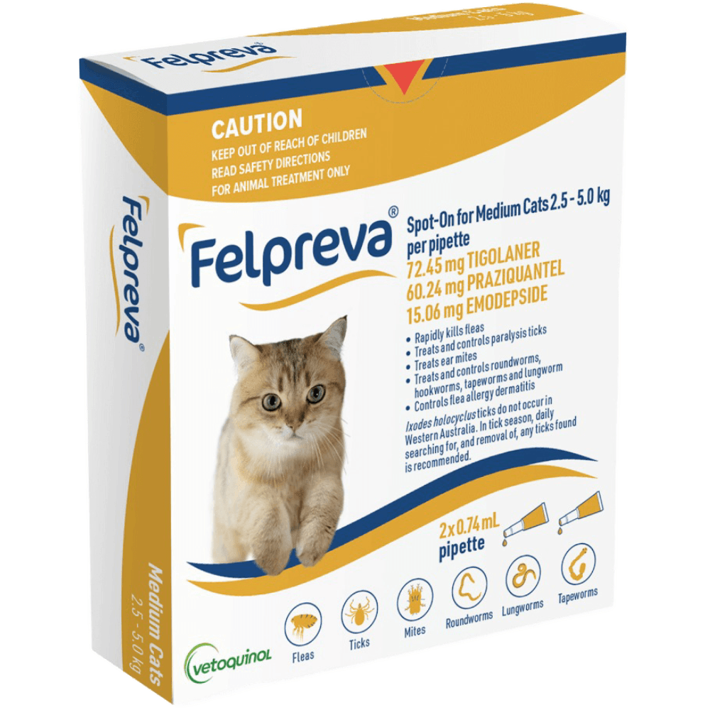 felpreva-spot-on-solutions-for-medium-cats