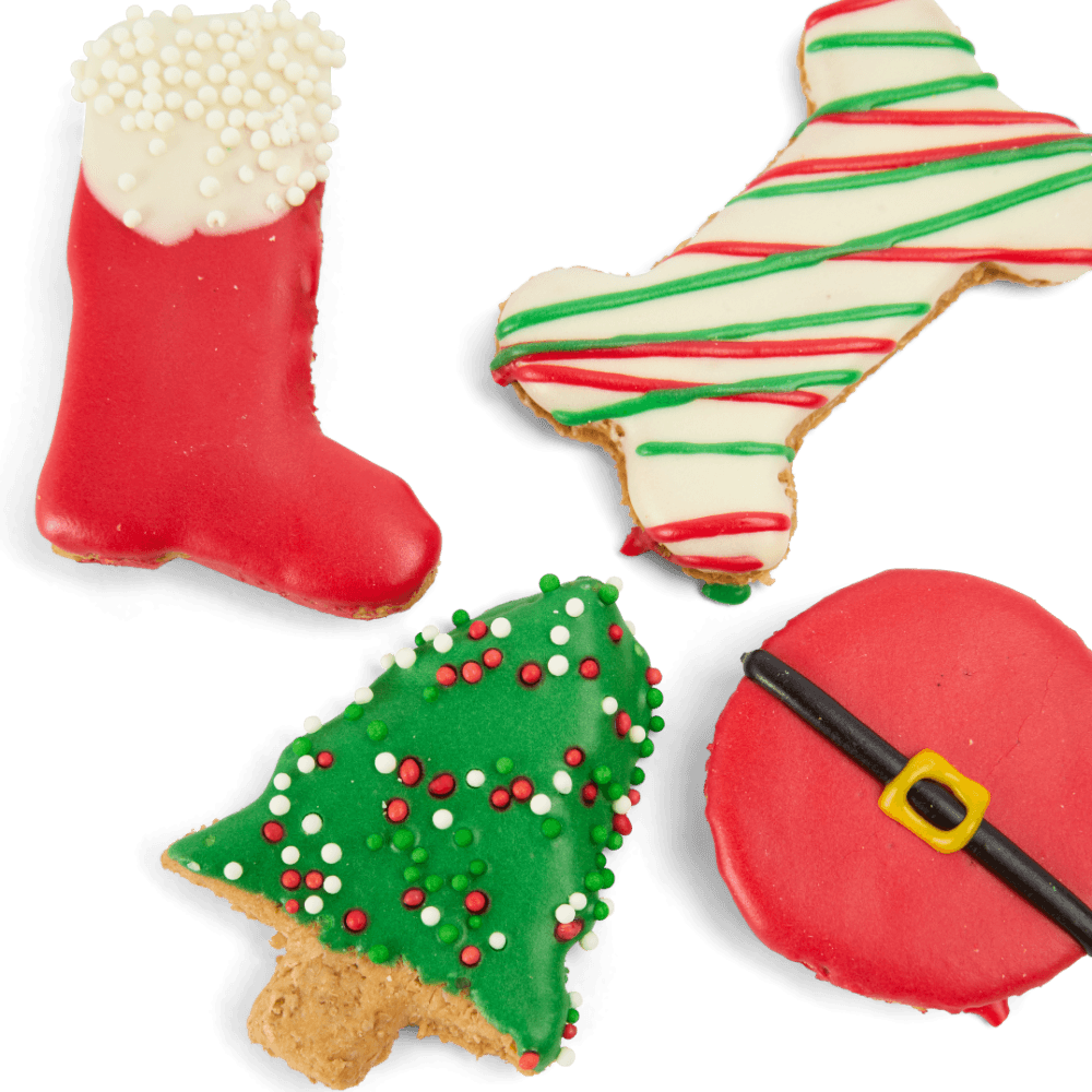 christmas-by-pet-circle-2025-frosted-chrissy-biccies-dog-treats