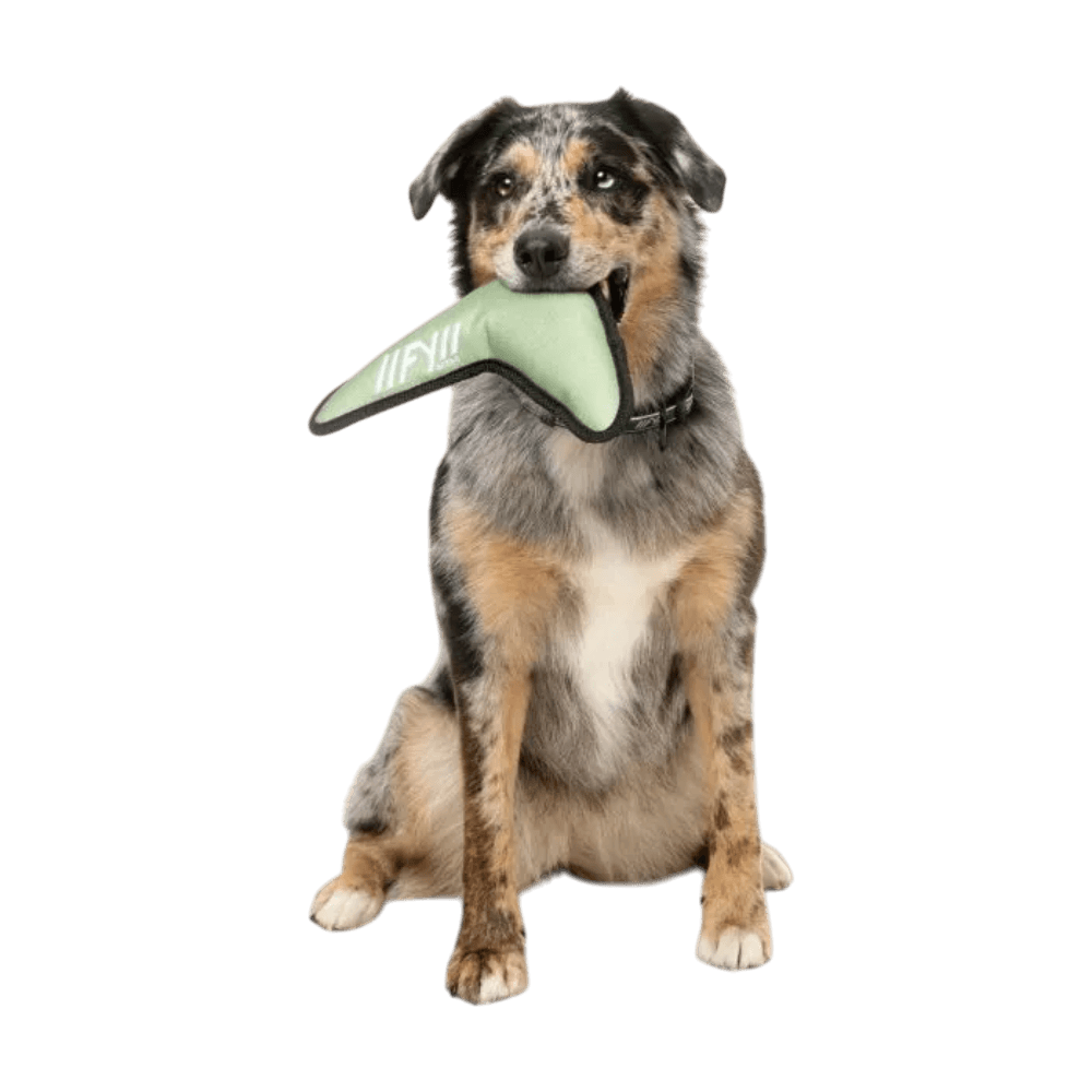 fuzzyard-active-dog-toy-flyer-khaki