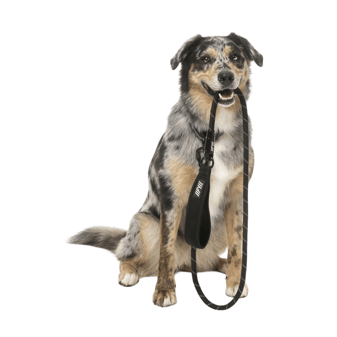 fuzzyard-active-rope-lead-dog-black