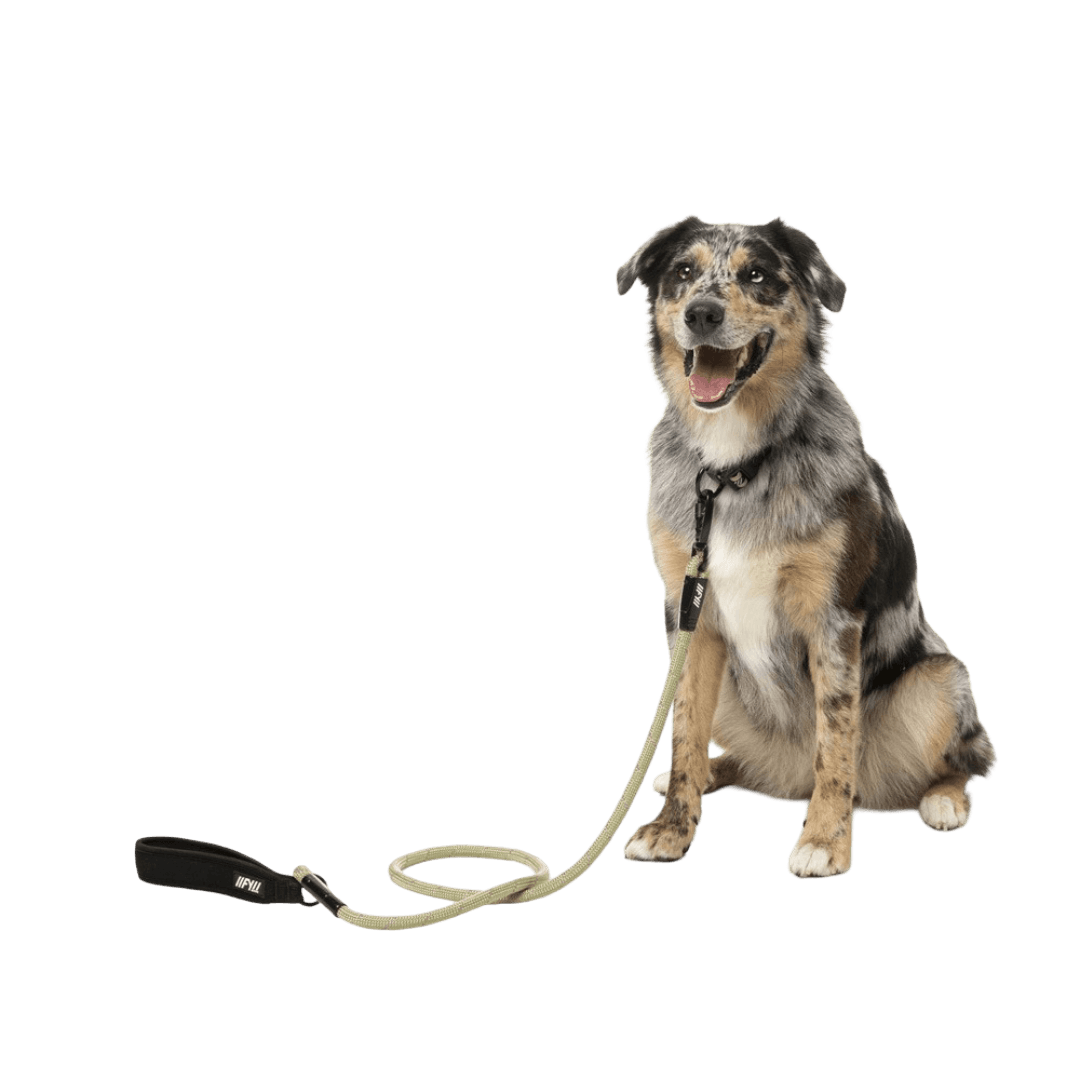 fuzzyard-active-rope-lead-dog-khaki