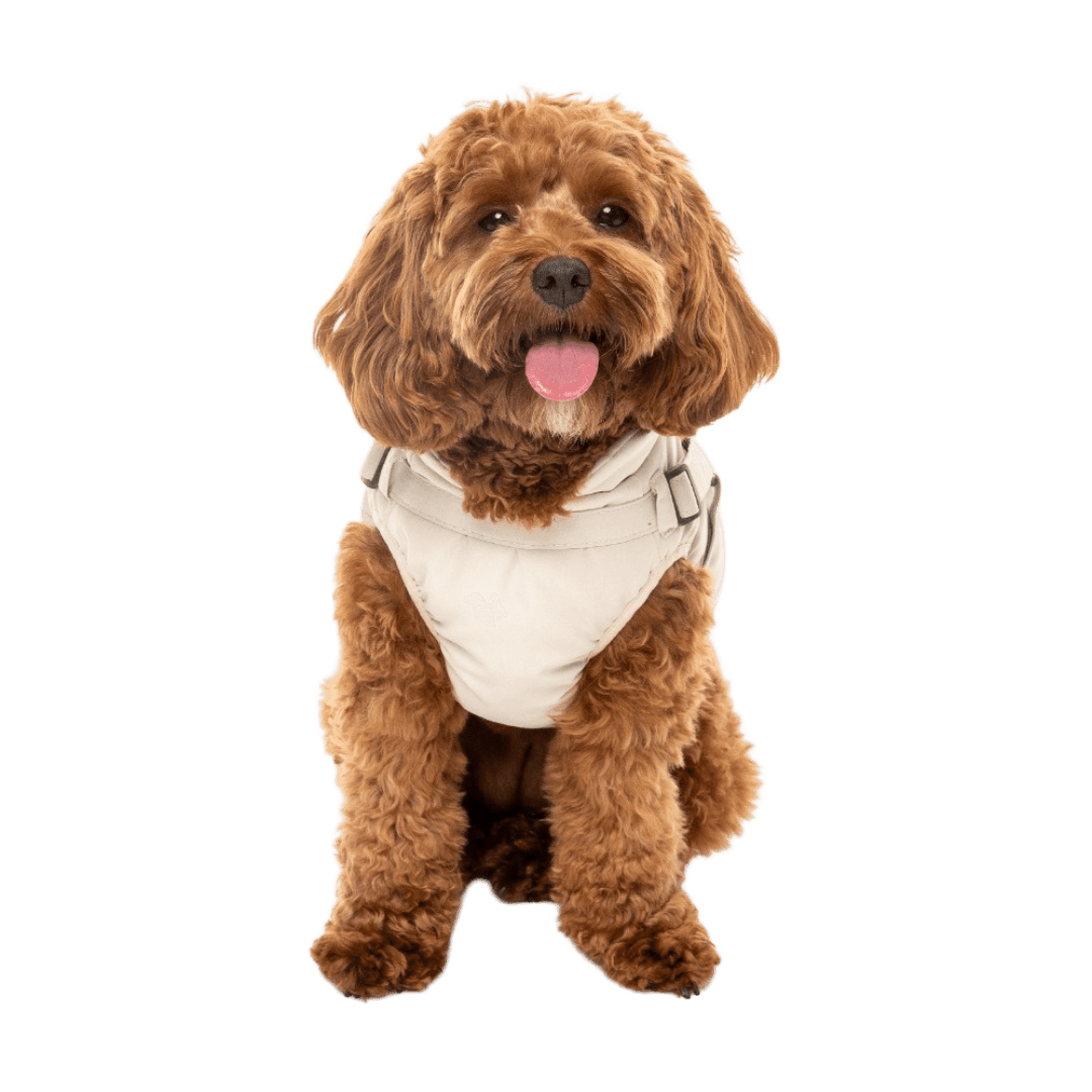 fuzzyard-beige-horizon-dog-jacket