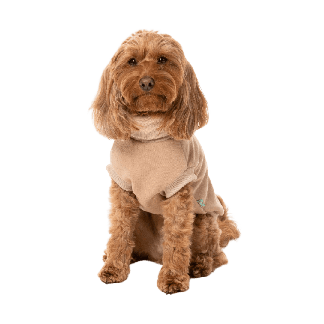 fuzzyard-beige-stevie-dog-jumper