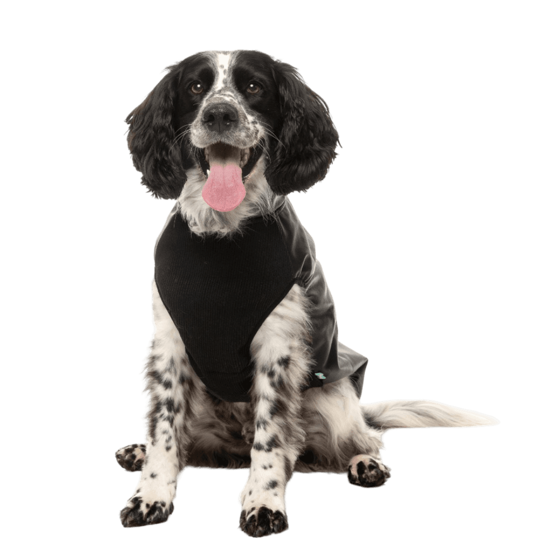 fuzzyard-black-vienna-dog-jacket