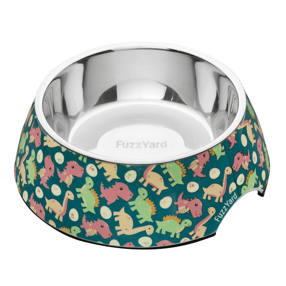 fuzzyard-bowl-dinosaur-land