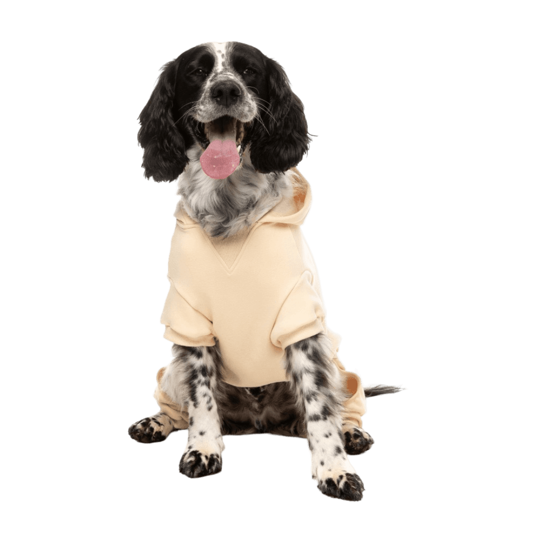 fuzzyard-buttermilk-urban-dog-tracksuit