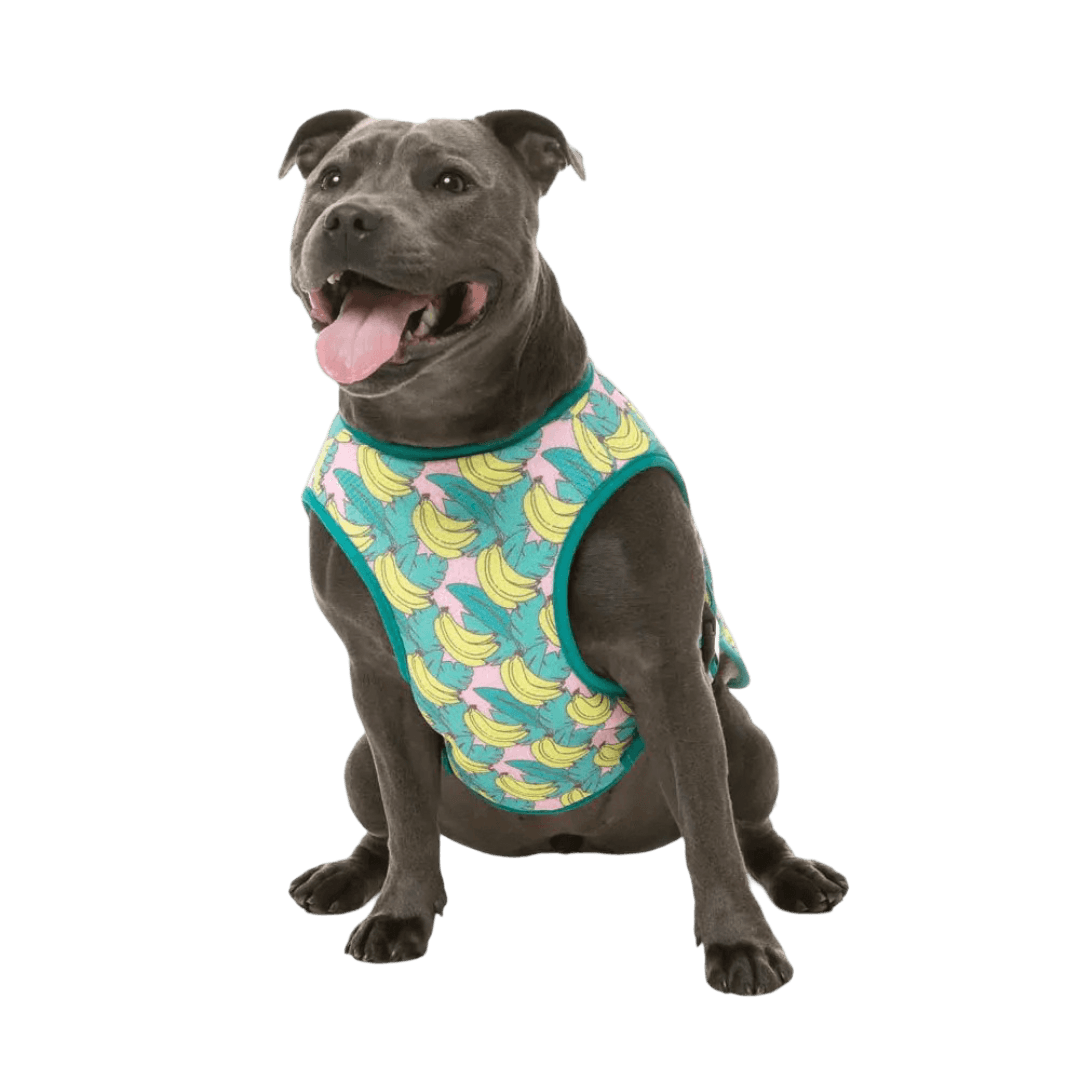 fuzzyard-cooling-vest-bananarama