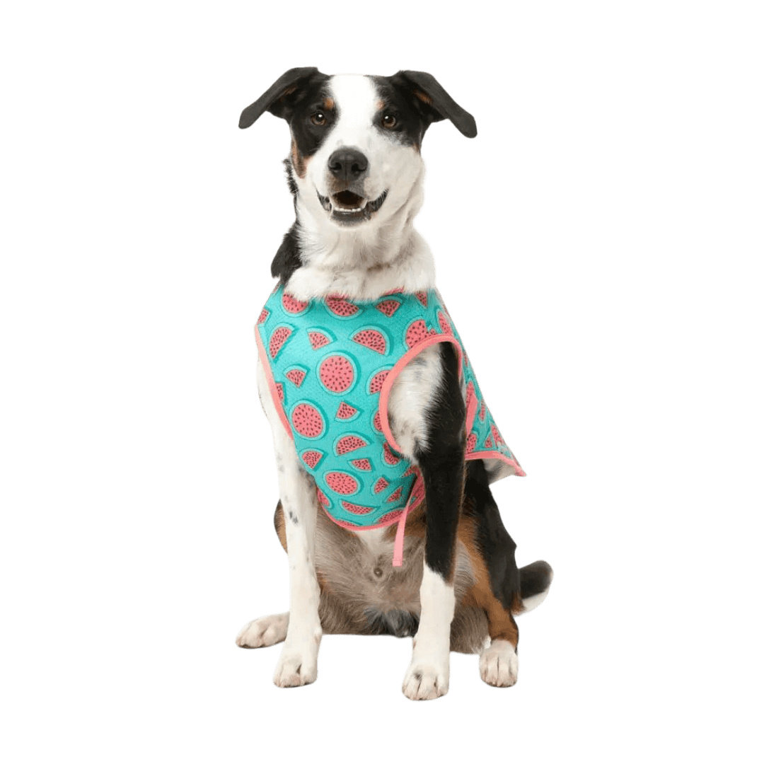 fuzzyard-cooling-vest-summer-punch