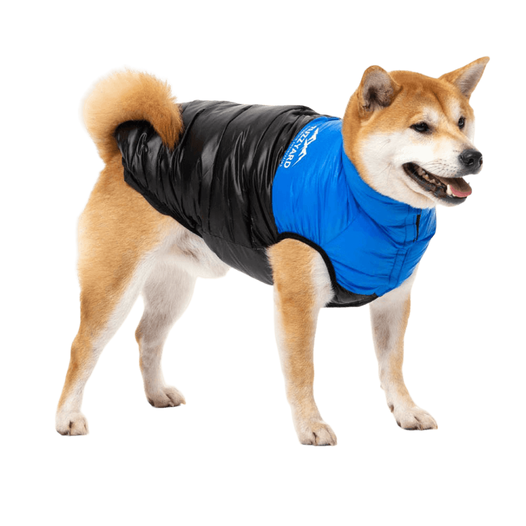 East Harlem Puffer Jacket Blue