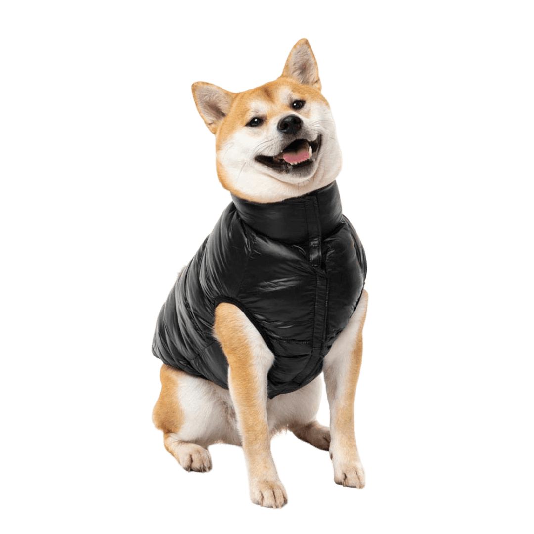 fuzzyard-east-harlem-puffer-jacket-black